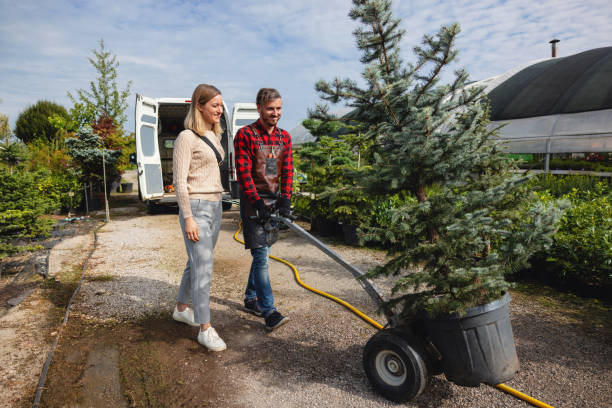 Best Lawn Maintenance Plans  in Mount Carroll, IL